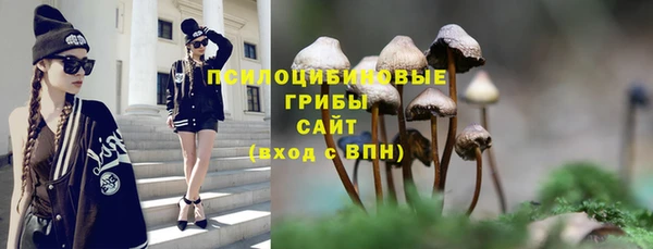 дмт Белокуриха