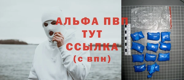 дмт Белокуриха