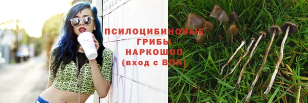 mix Алексеевка