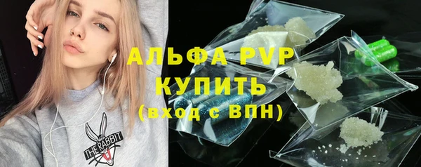 дмт Белокуриха
